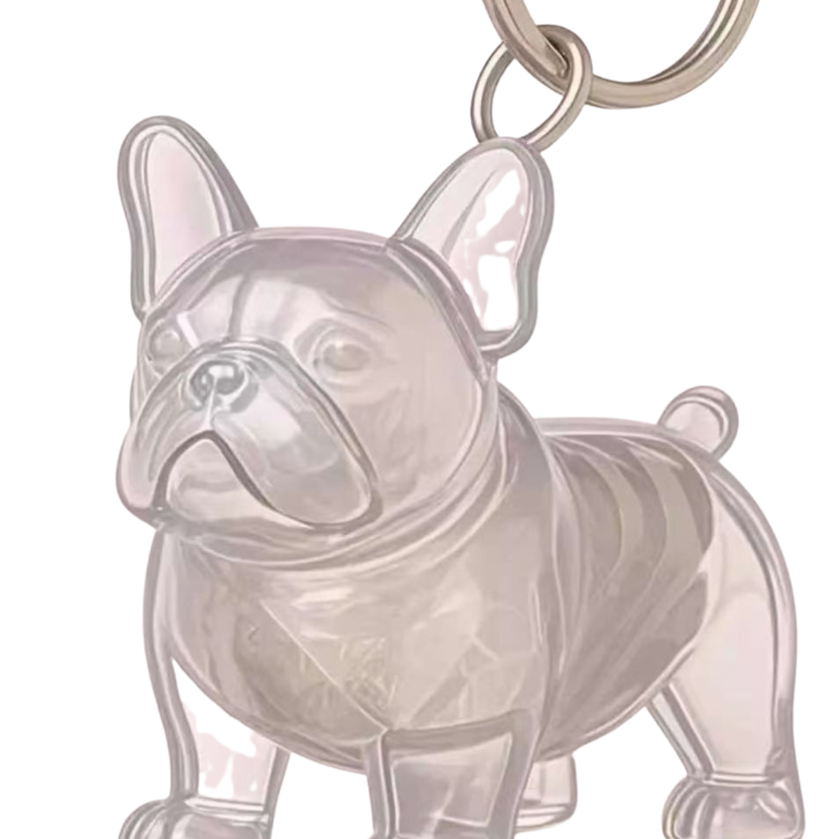 Fuzzkey™ – 2Pcs Pet Hair Storage Keychain  (50% Off)