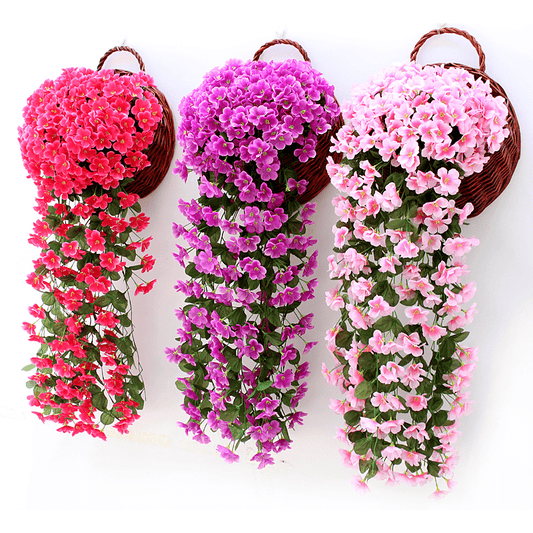 Florenza™ - Floating Orchid Displays for an Elegant Home (1+1 Free) - Evesbury