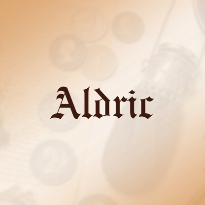 Aldric™ – Handmade 1920’s English Chainmail Purse (50% Off)